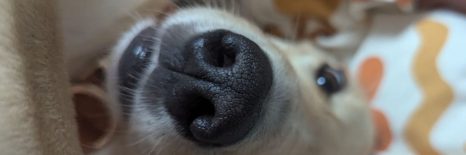 george_demner's profile banner image