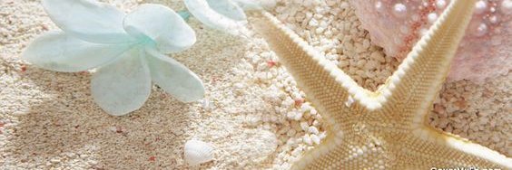Sandy_Coco0's profile banner image