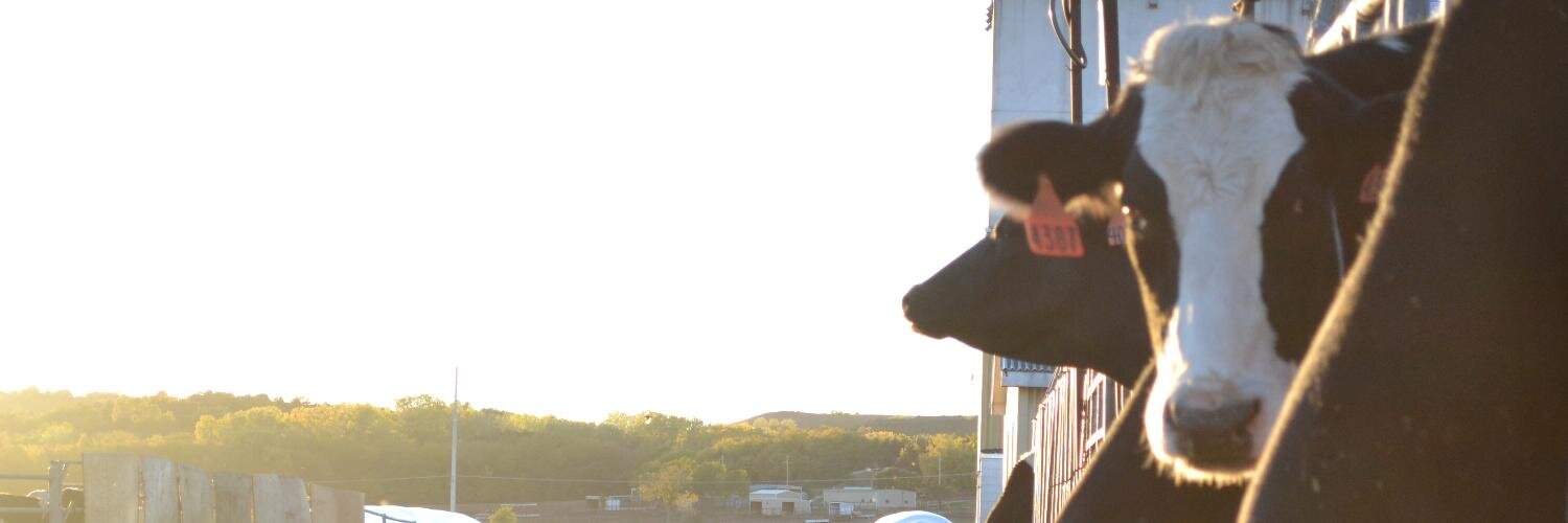 Barry Bradford banner