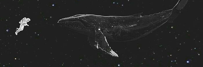 218_hopeworld's profile banner image