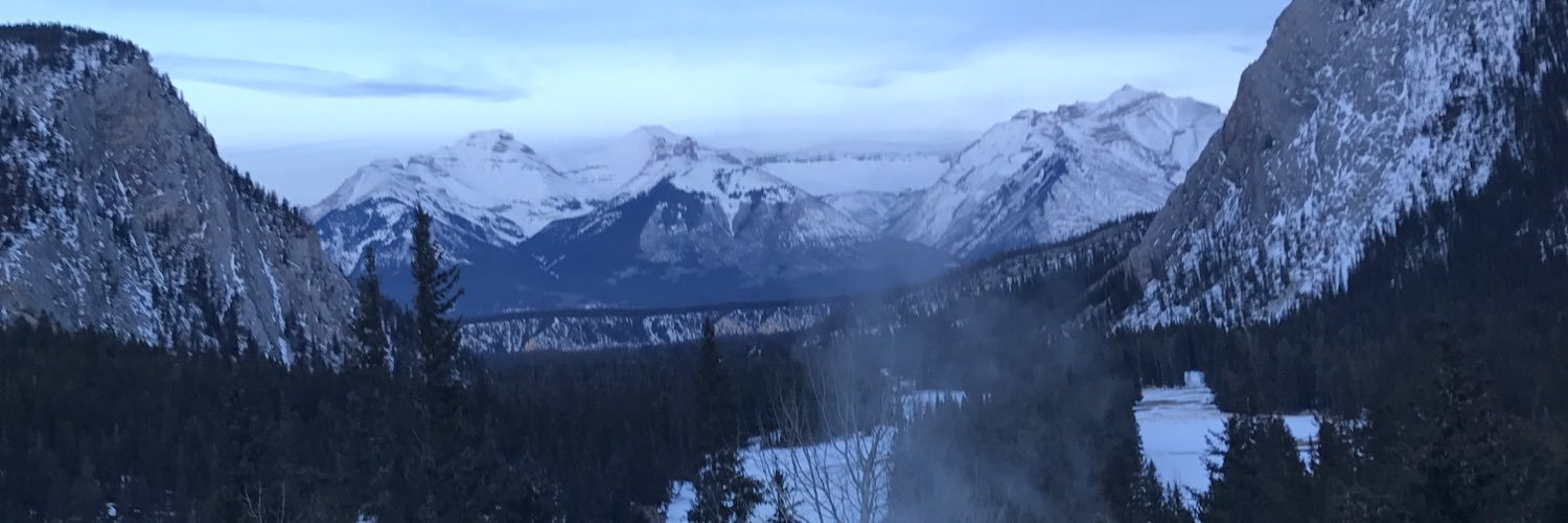 WildWillM's profile banner image