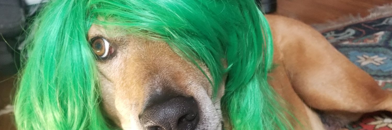jinsfch's profile banner image