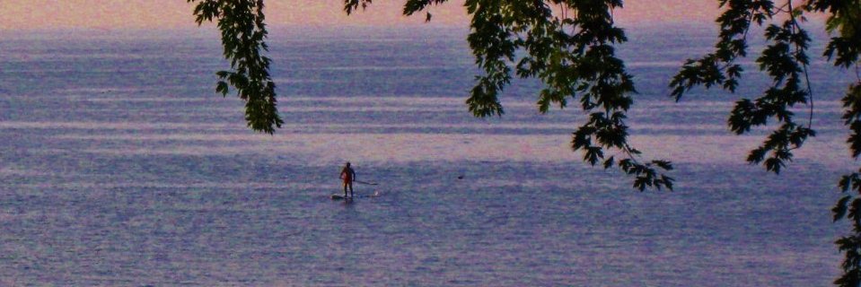 btk99's profile banner image