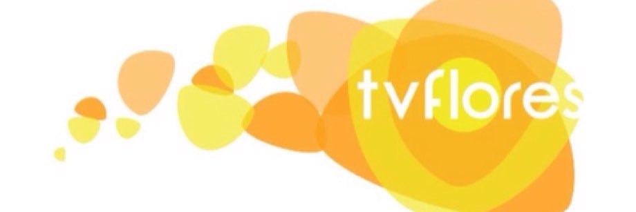 Valentina Flores banner