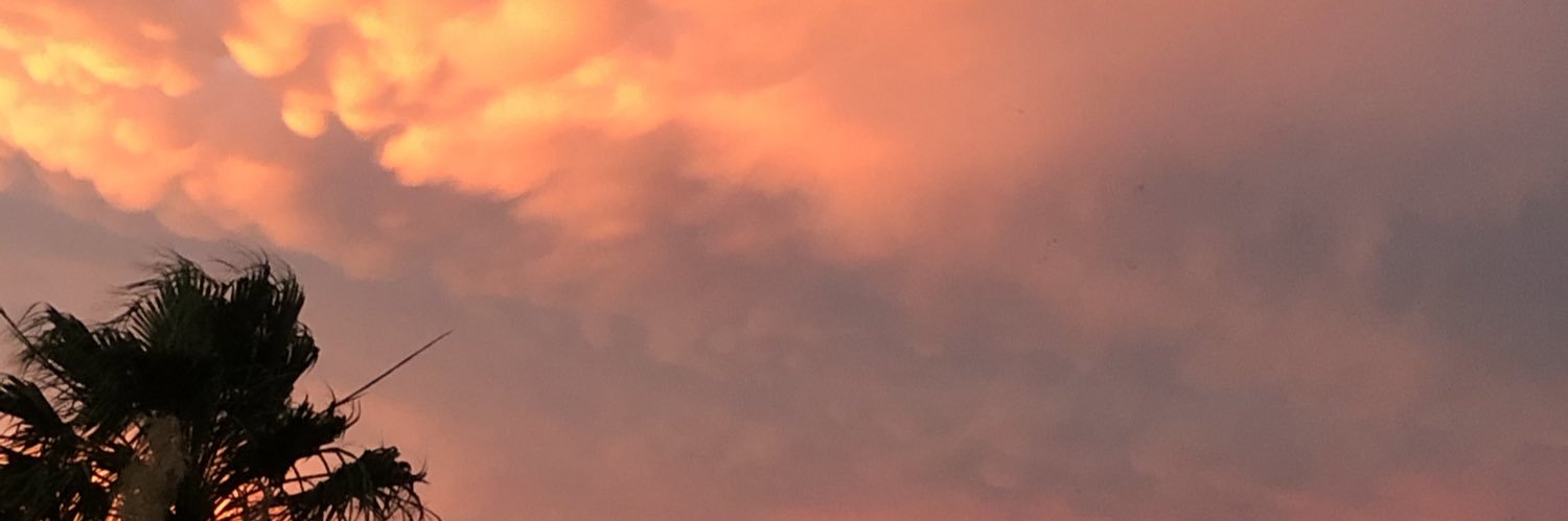 trindap76's profile banner image