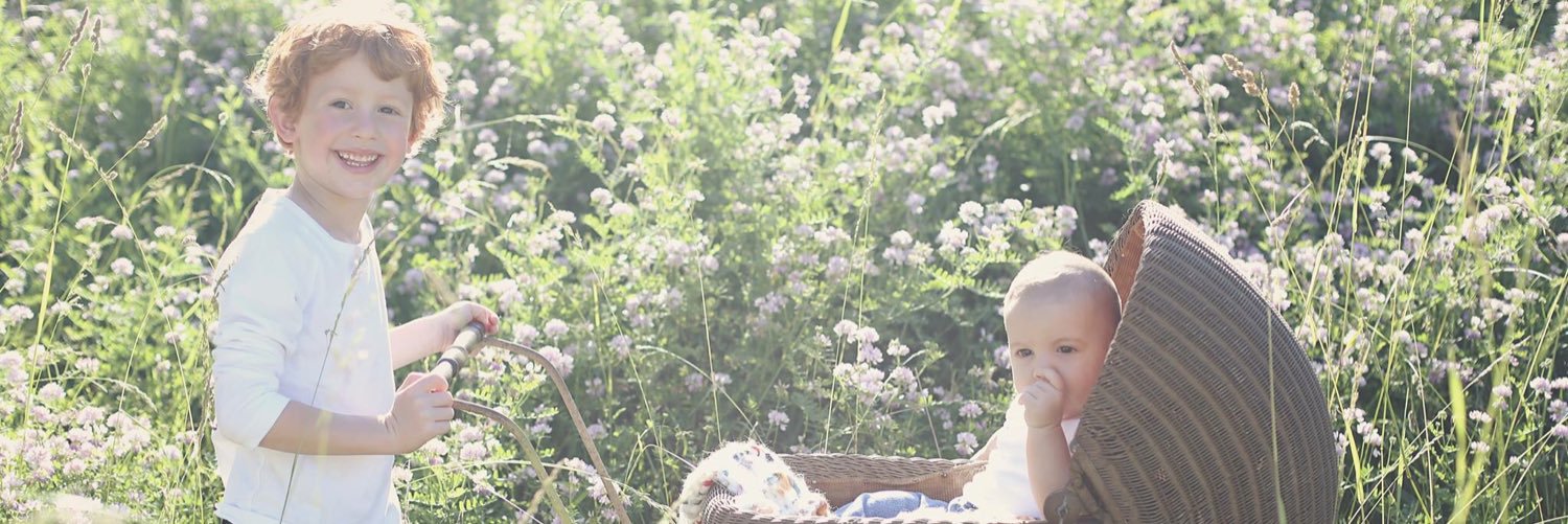 haleyrosenutter's profile banner image