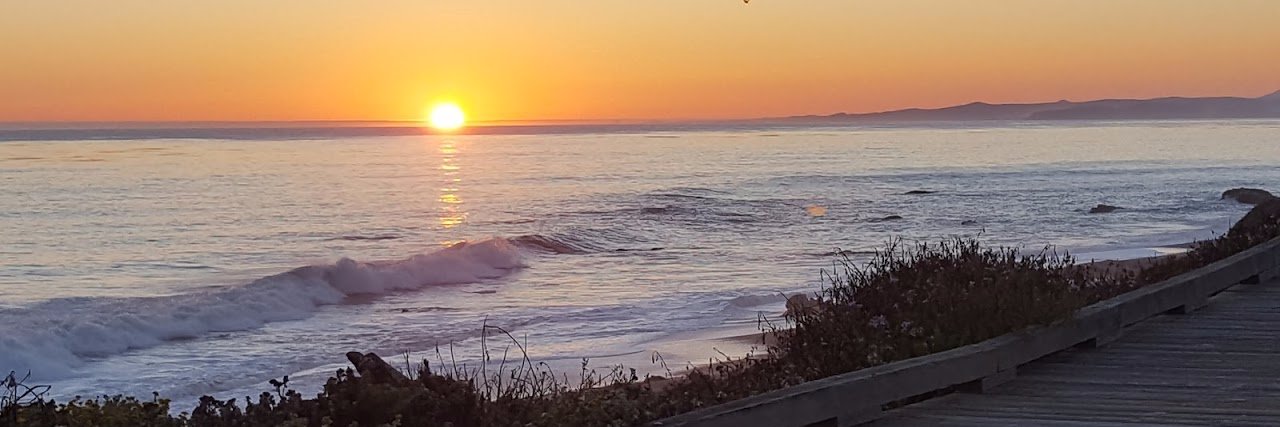 Sarah Mojarro Lemons banner