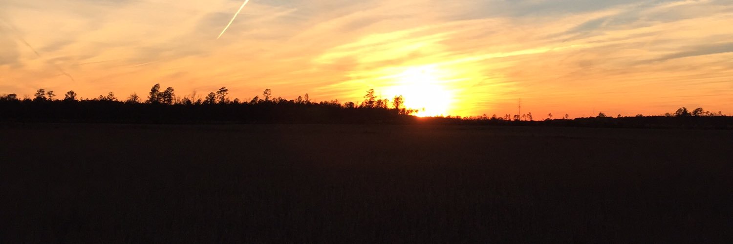 Rciervo's profile banner image