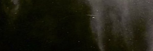 blancobillions Profile Banner