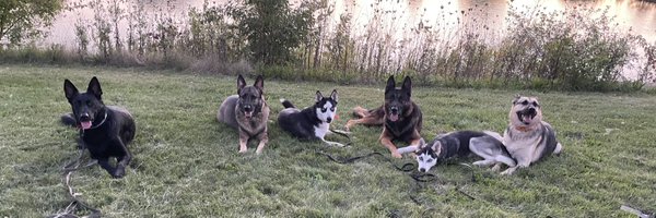 DanMan2133 Profile Banner