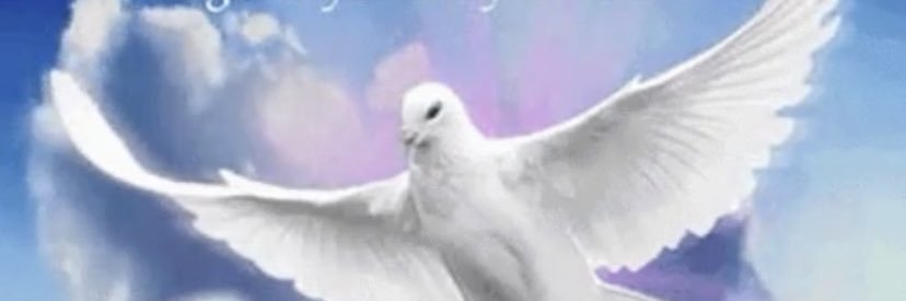 Nancy Cahalan banner