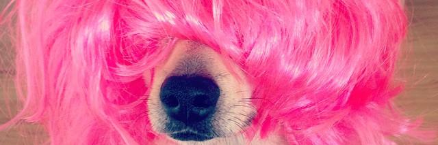 JackiBray's profile banner image