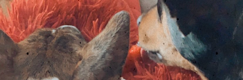 Cristinitahr's profile banner image