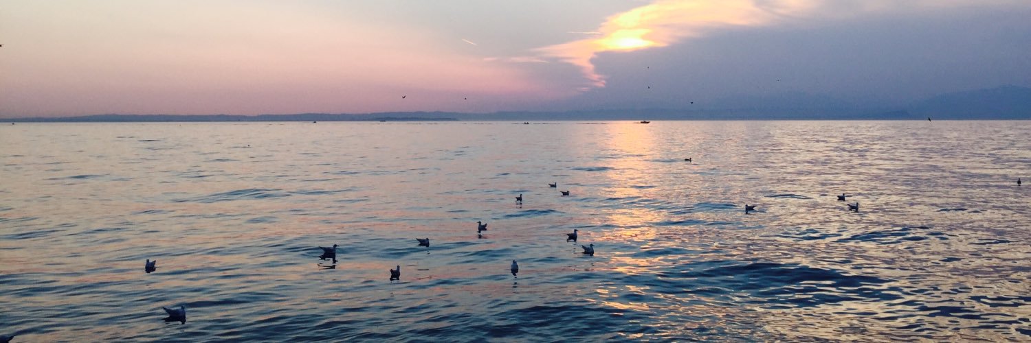 devonstanford's profile banner image