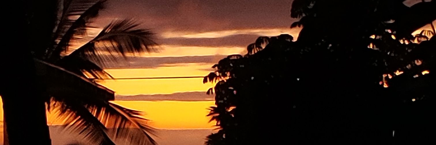 hotdaug's profile banner image