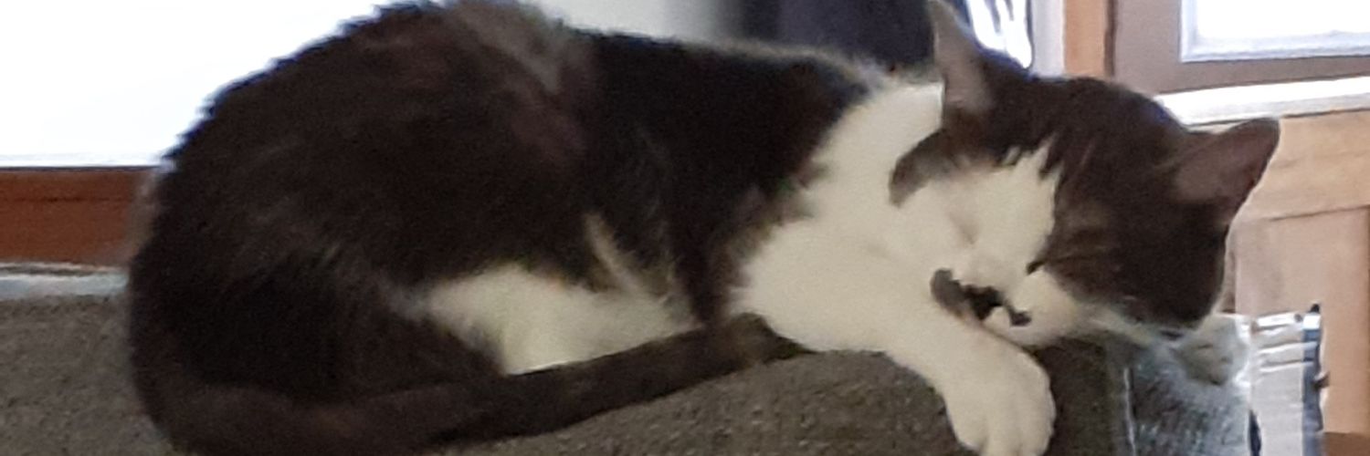tripleblah's profile banner image