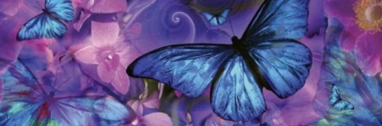 SurgTechGirl15's profile banner image