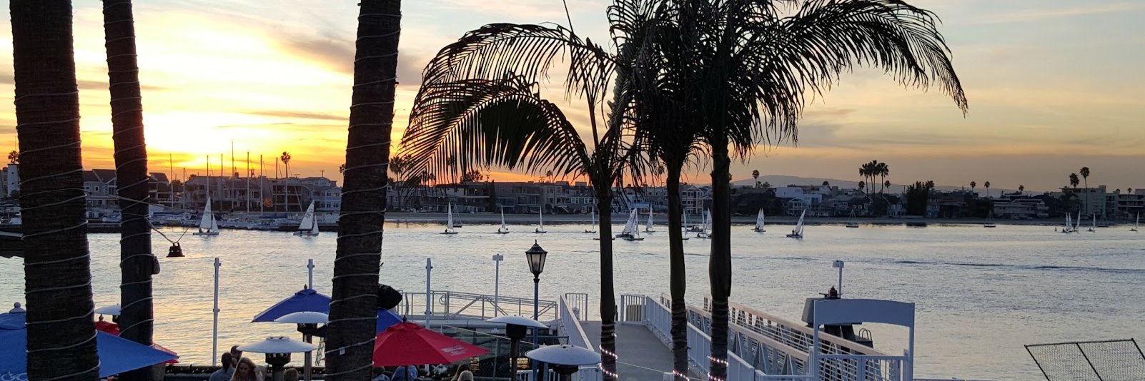 longbeachlucy's profile banner image