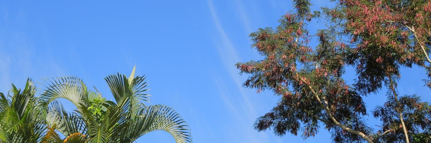 William Velez banner