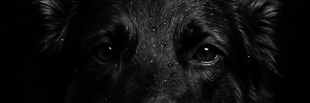 MattTower24's profile banner image