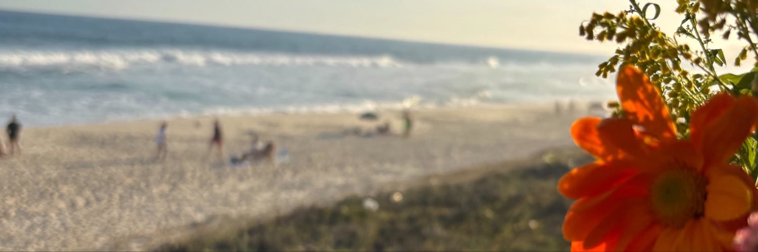 RFigueiredoo's profile banner image
