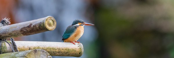 manabu16 Profile Banner