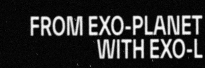 🦊 ㅎ ㅁ ㅎ banner