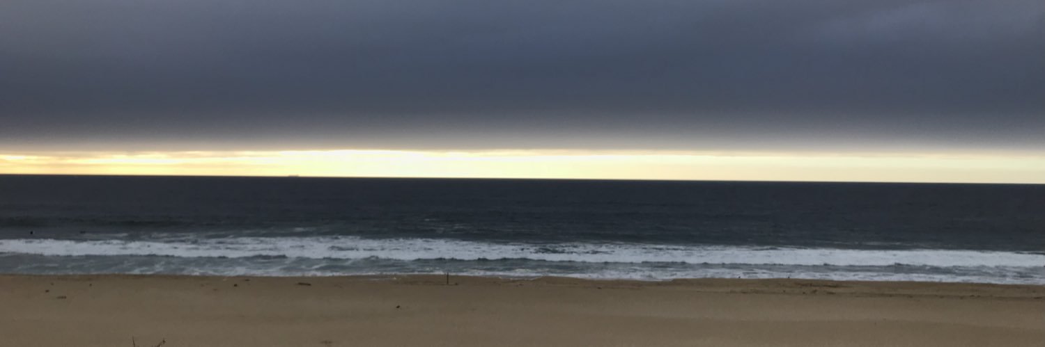 Dan Hauenstein banner