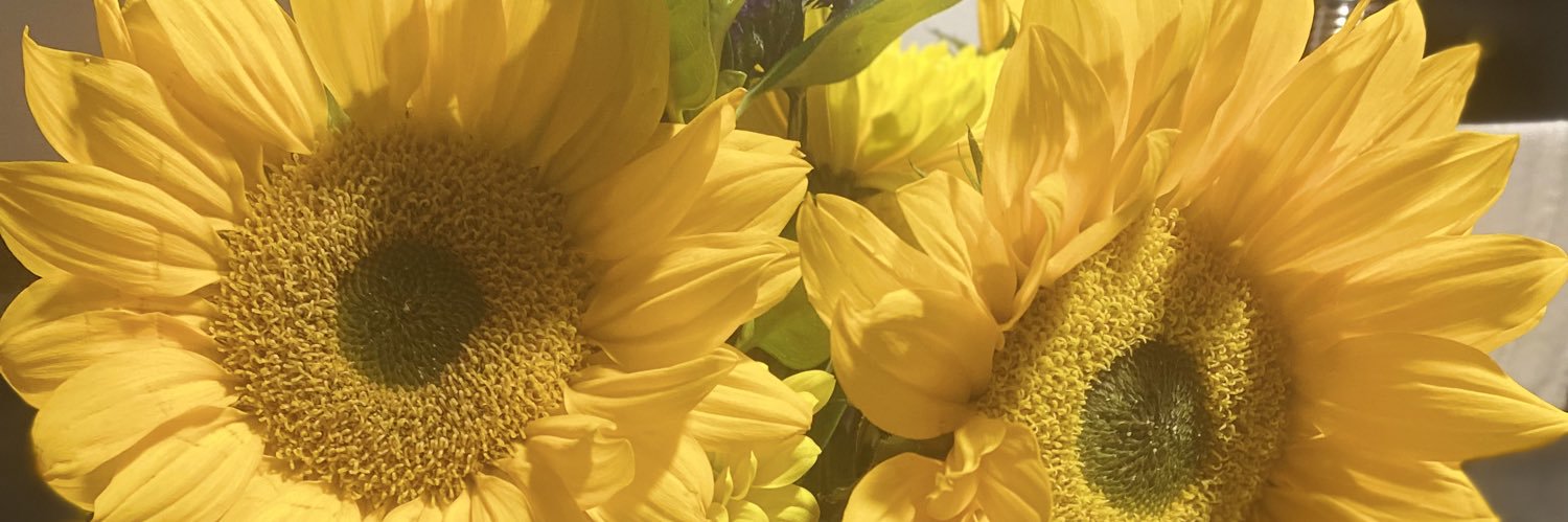 Evangalea's profile banner image