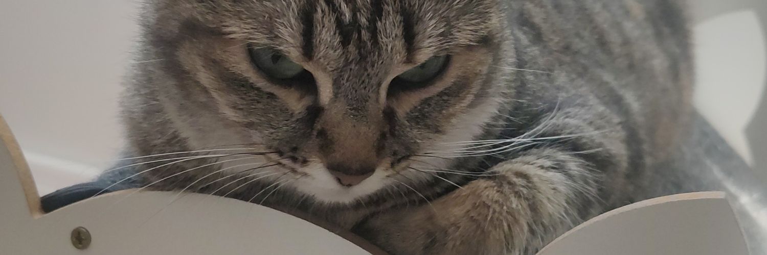 Sauron - El Gato banner