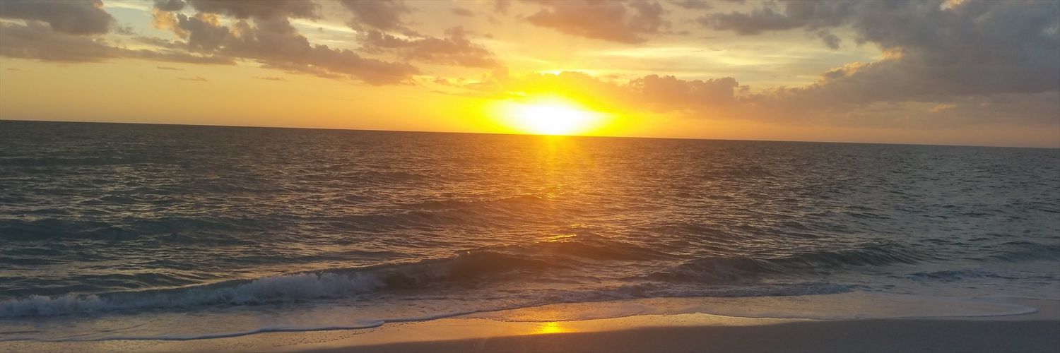dillydog123's profile banner image