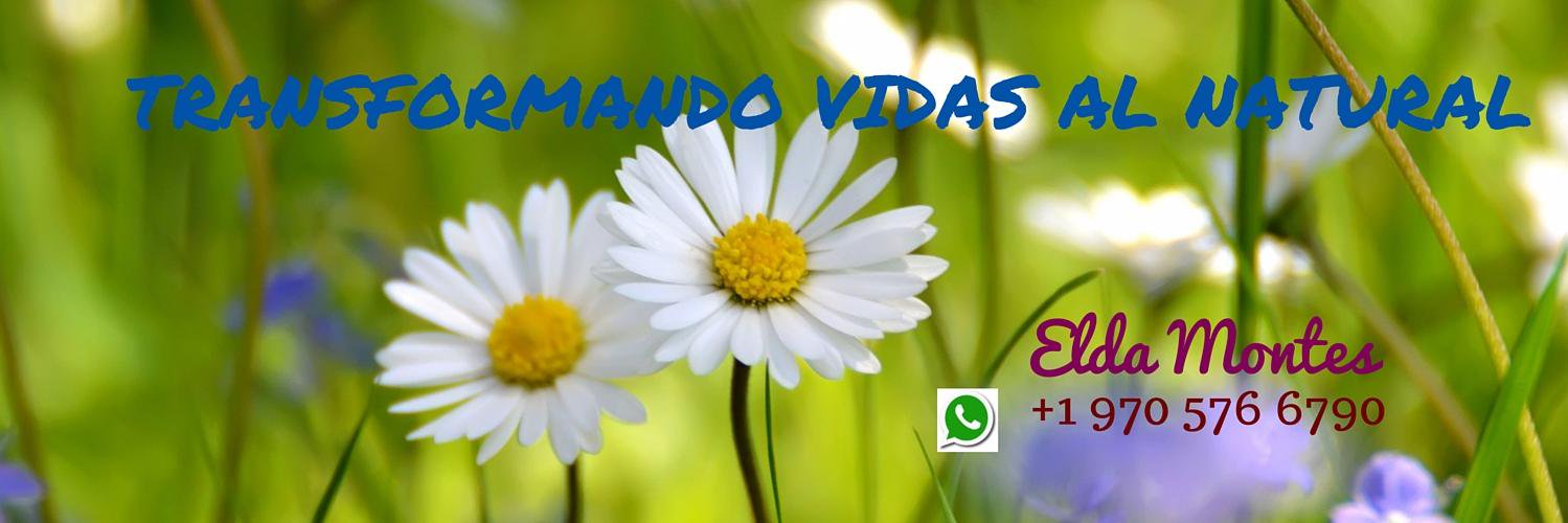 Emontes22's profile banner image