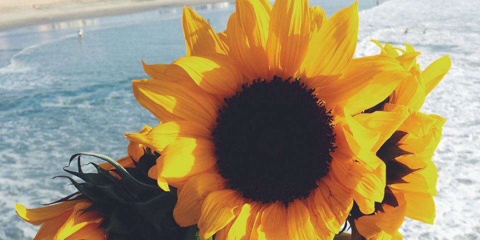 Lhyhx's profile banner image