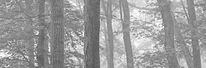 antmaz95's profile banner image
