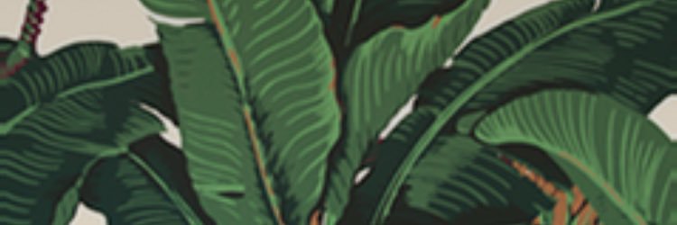 Chanellhoward's profile banner image