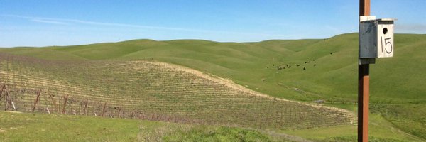 jess_schlarbaum Profile Banner