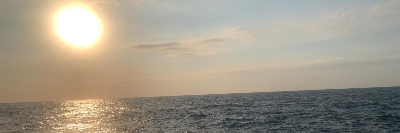 RitaPlan's profile banner image