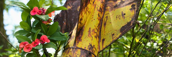 projectrenew Profile Banner