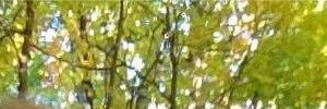 RonSeman's profile banner image