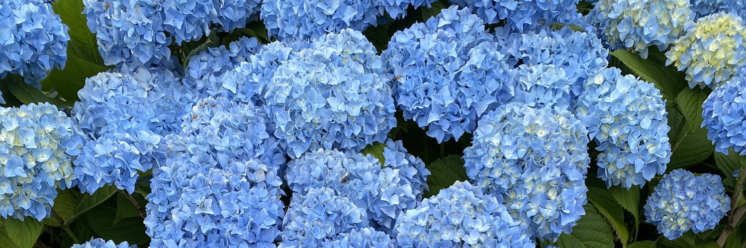 ajagsx's profile banner image