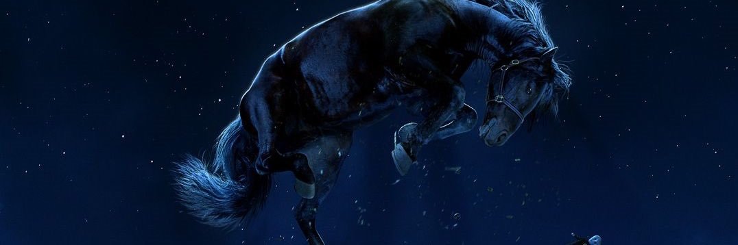gutinn___'s profile banner image