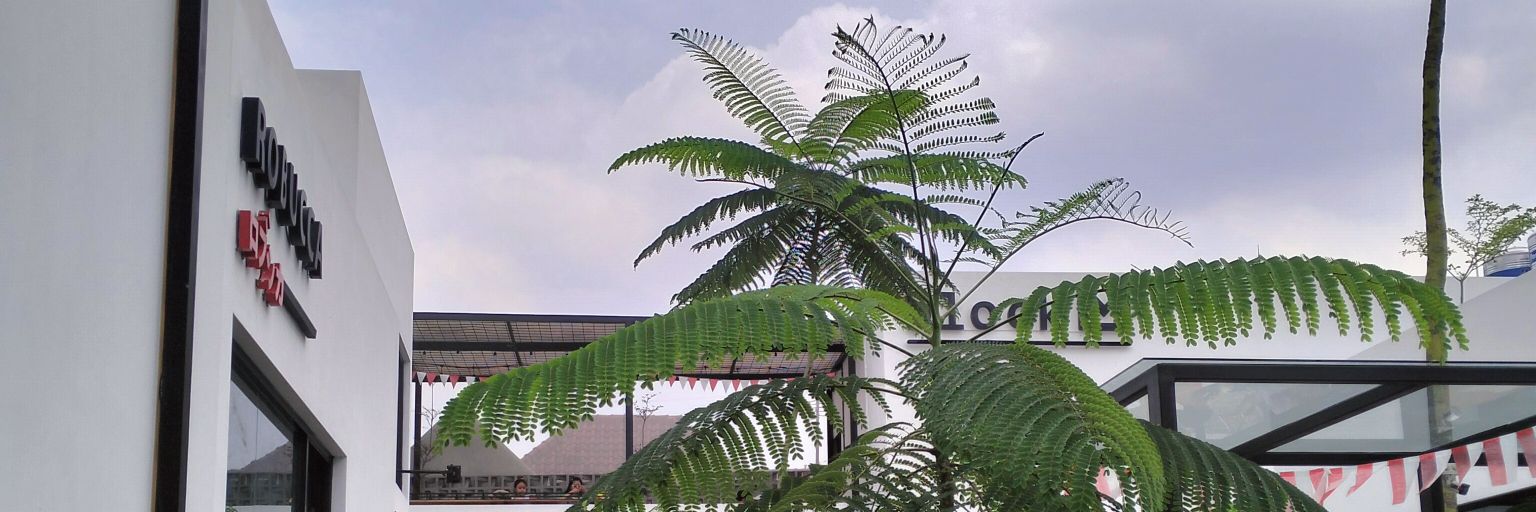 rizzaalahmadd's profile banner image