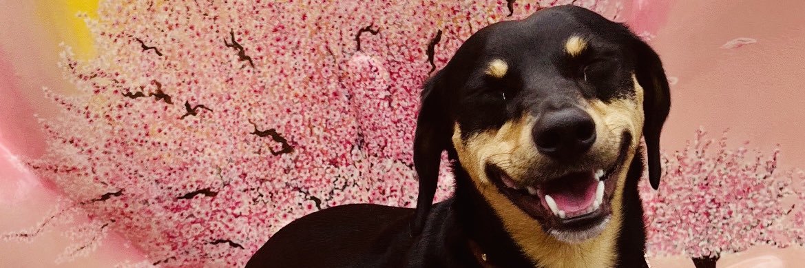 melarmstrong11's profile banner image