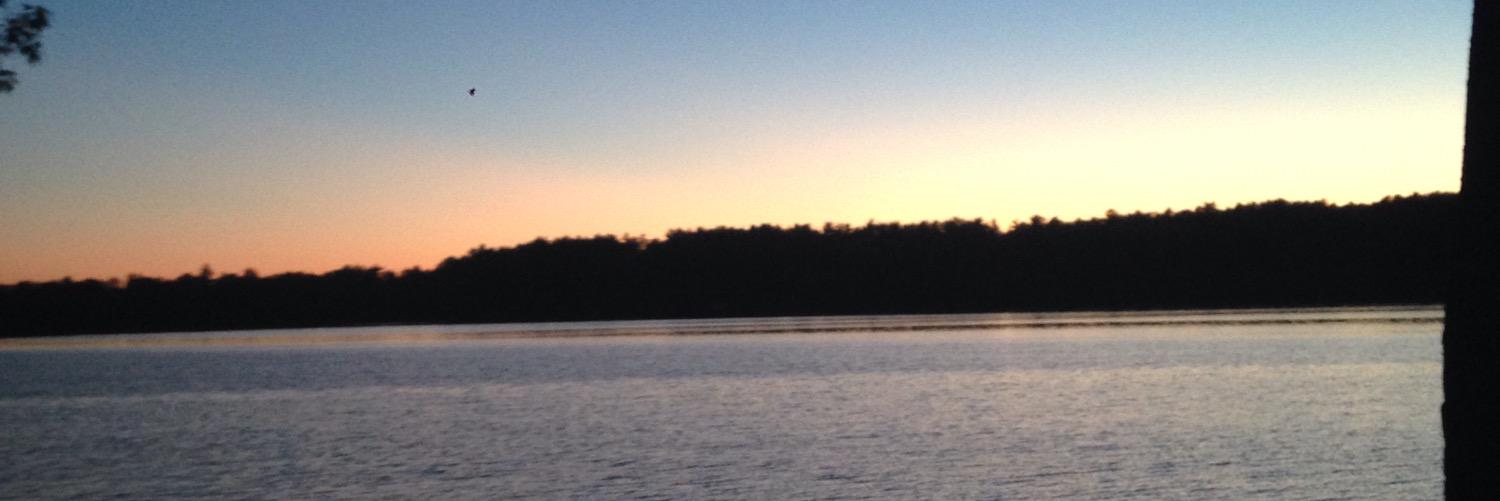 emmabruzer's profile banner image