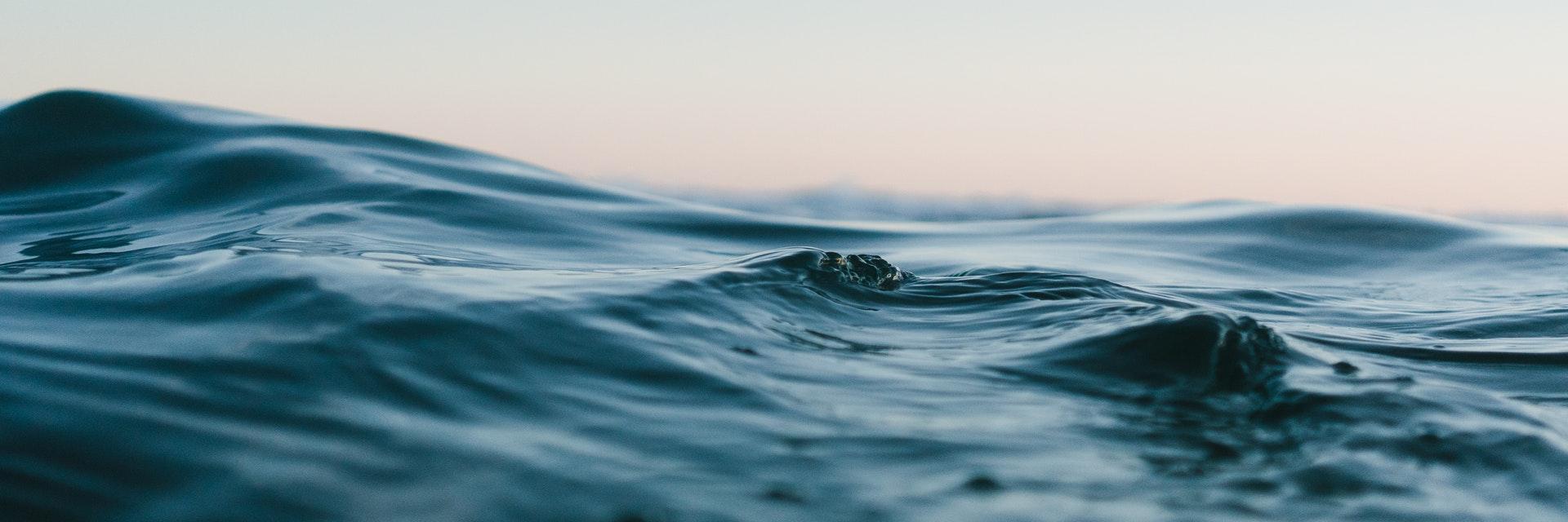 Jeff Shillitto banner