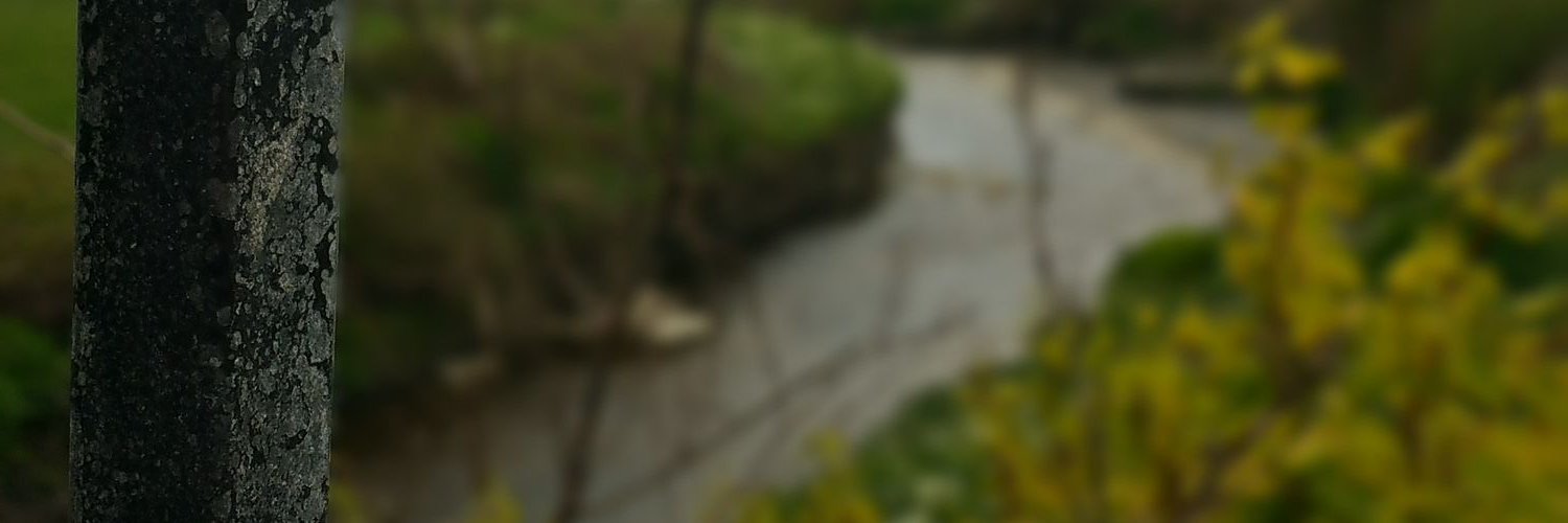 gerbecp's profile banner image