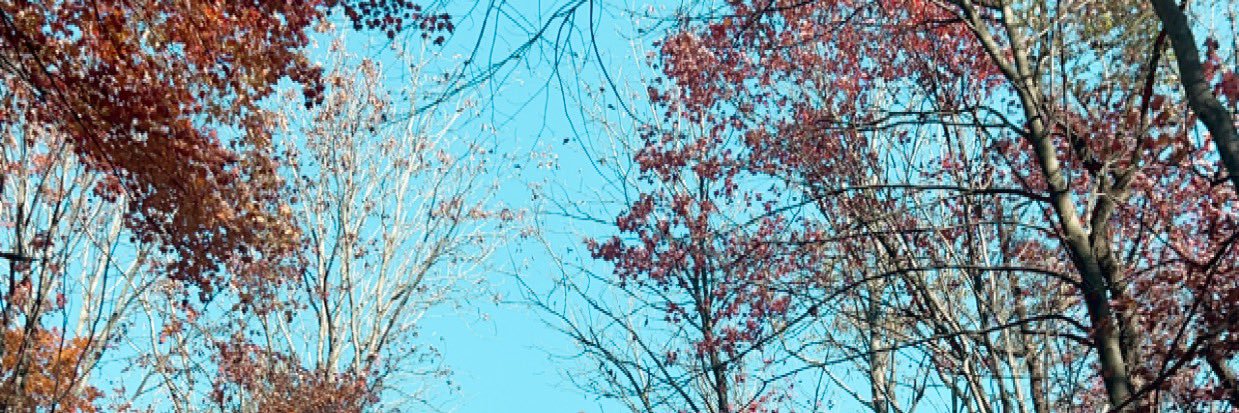 karlilexus's profile banner image