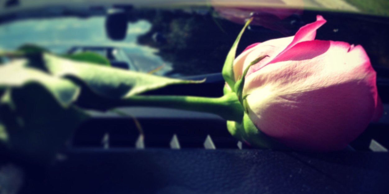 janaymichelle's profile banner image