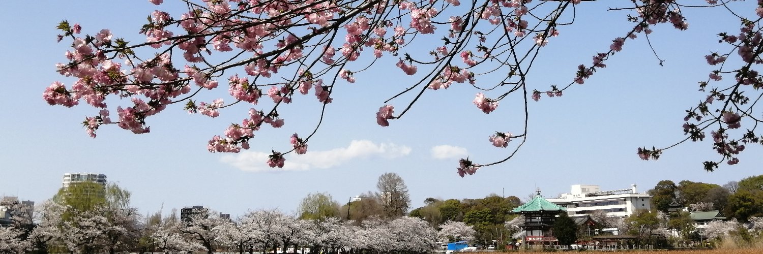 kyaoka's profile banner image