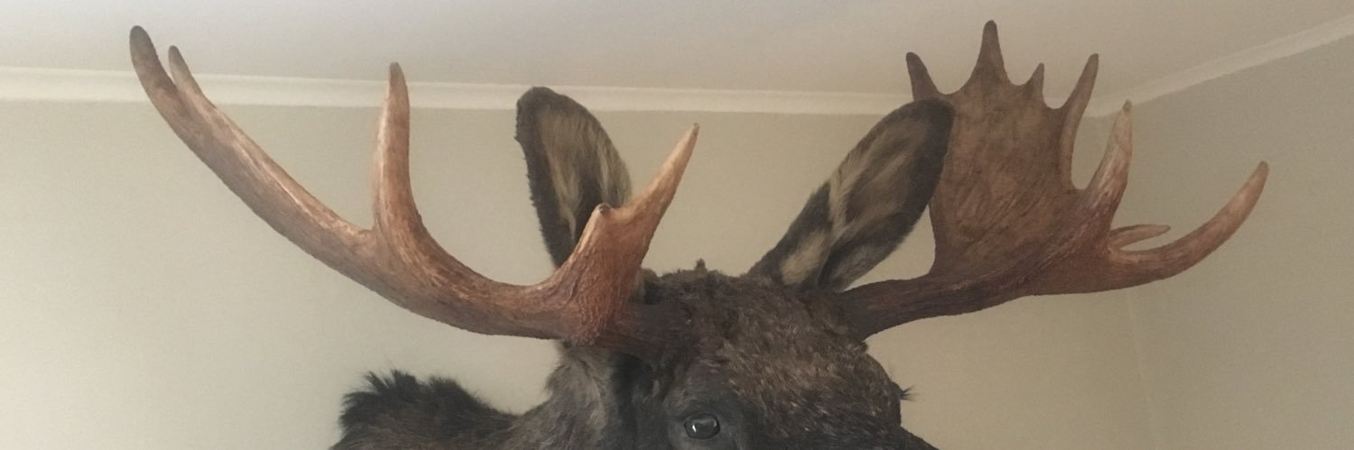 LennartOW's profile banner image